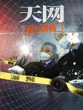 《天网：案件真相》：深度解析AI监控下的惊悚迷局，揭秘科技能否成为正义的利刃