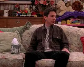 《人人都爱雷蒙德》第四季：家庭喜剧的幽默升级，雷蒙德夫妇如何应对爆笑日常？